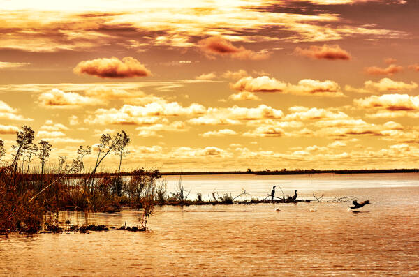Corrientes Corrientes