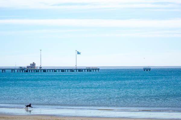 Rio Grande Rio Grande