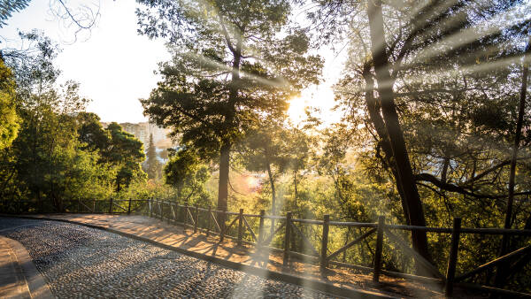 Concepcion Concepcion