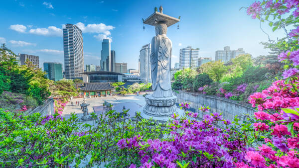 Seoul Seoul