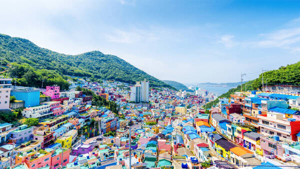 Busan Busan